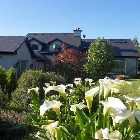 Ethan House * קיל איירן