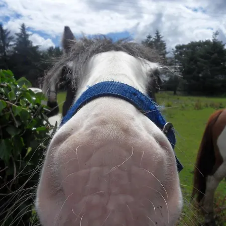 דירה Ethan House קיל איירן