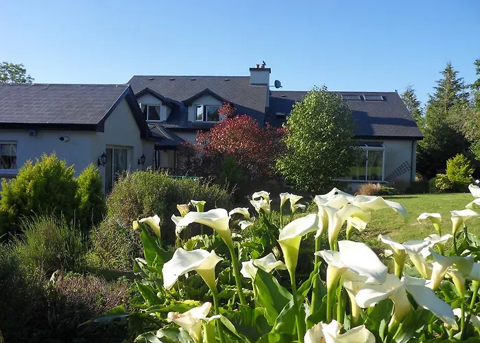 Ethan House * 基拉尼