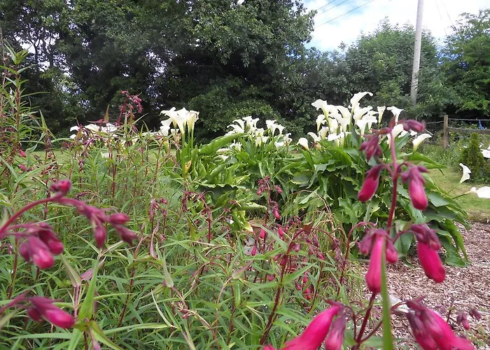 Ethan House 公寓 *